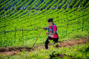 BIB: 
                            <button type="button" onclick="openModal(19162816)" class="btn btn-primary btn-sm float-right btn-popup" data-toggle="modal" data-target=".modal-high-quality">
                        <i class="fas fa-shopping-cart"></i> Add to Cart
                    </button>
                                            <button type="button" onclick="isThisMe(19162816, true)" class="btn btn-success btn-sm float-right btn-popup btn-isme hidden" data-toggle="tooltip" data-placement="bottom" title="นี่คือรูปของคุณใช่ไหม คลิกที่นี่เพื่อเอาเข้าอัลบั้ม">
                        <i class="fas fa-plus"></i> Add to album
                    </button>
                    <button type="button" onclick="isThisMe(19162816, false)" class="btn btn-warning btn-sm float-right btn-popup btn-isnotme hidden">
                        <i class="fas fa-ban"></i> Remove from album
                    </button>